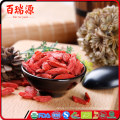 healthy snacks miracle berry frozen fruits wolfberry Ningxia goji berry